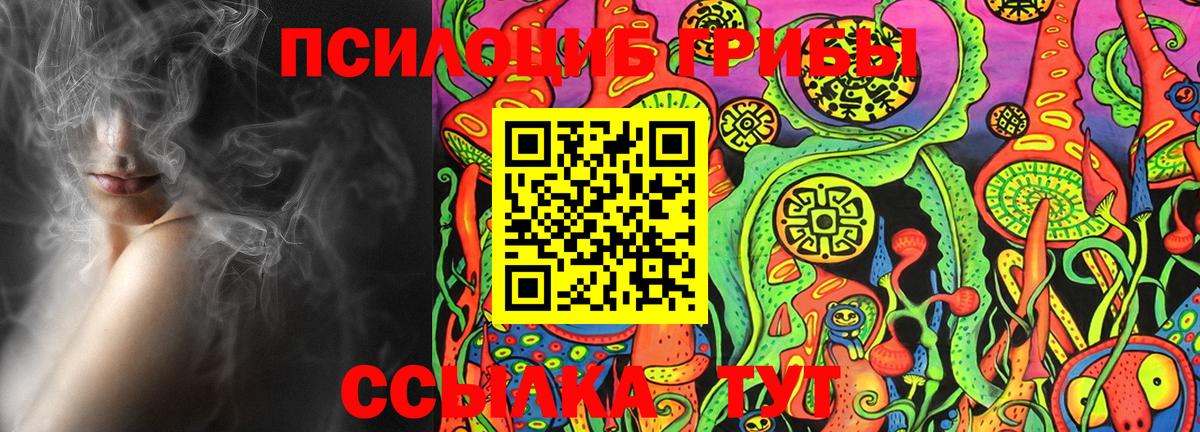 Псилоцибиновые грибы мицелий  Галлюциногенные грибы Psilocybe  Камышлов  Вход с VPN 
